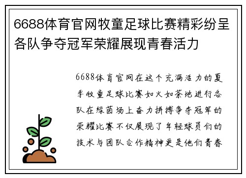 6688体育官网牧童足球比赛精彩纷呈各队争夺冠军荣耀展现青春活力